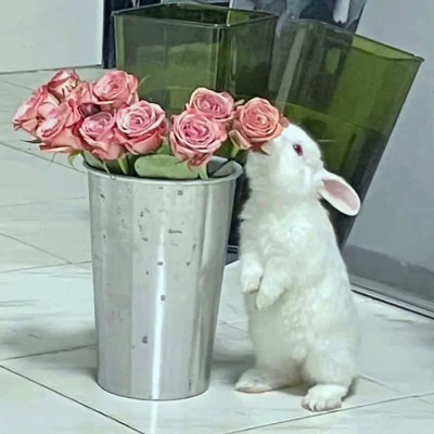 2026年海量封面背景图片头像