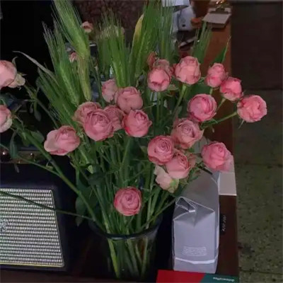 2026年海量封面背景图片头像