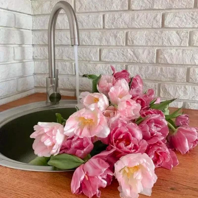 2026年海量封面背景图片头像