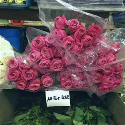 2026年海量封面背景图片头像