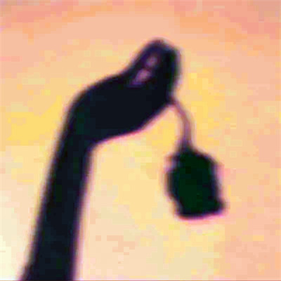 2026年海量封面背景图片头像