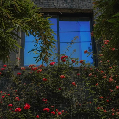 好看又实用的背景图片头像