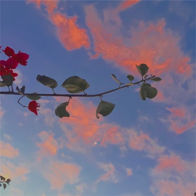 好看又实用的背景图片头像