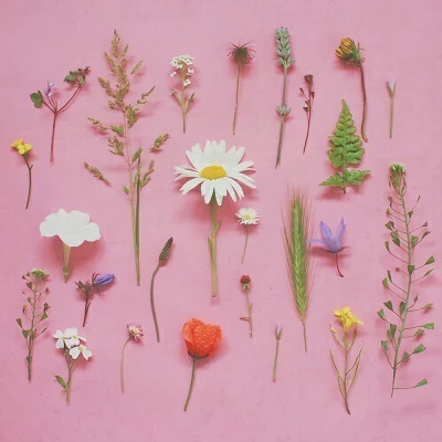 好看又实用的背景图片头像