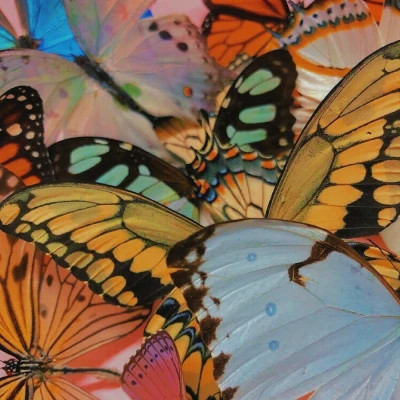 好看又实用的背景图片头像