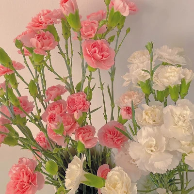 好看又实用的背景图片头像