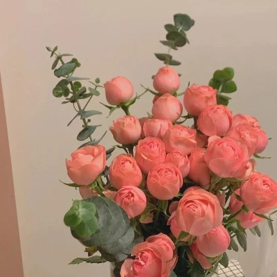 好看又实用的背景图片头像