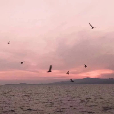 好看又实用的背景图片头像