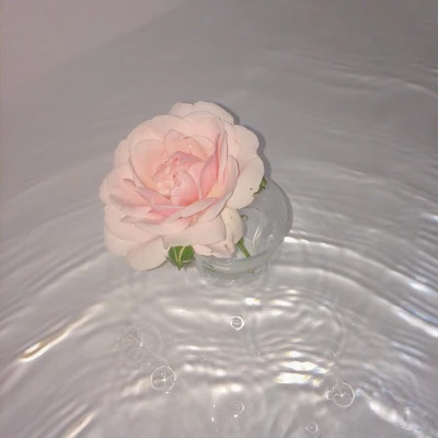 好看又实用的背景图片头像