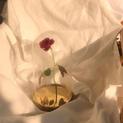 好看又实用的背景图片头像