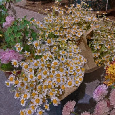 好看又实用的背景图片头像