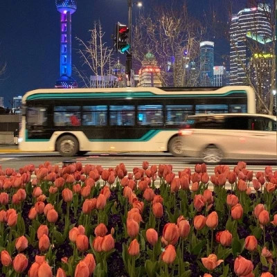 好看又实用的背景图片头像