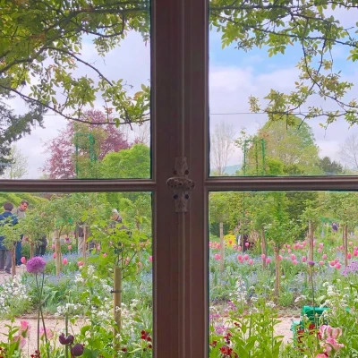 好看又实用的背景图片头像