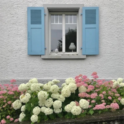 好看又实用的背景图片头像