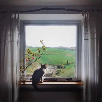 好看又实用的背景图片头像