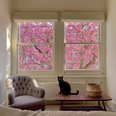 好看又实用的背景图片头像