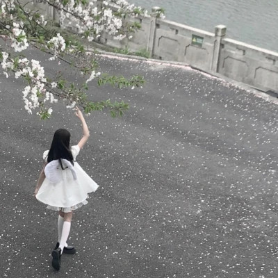 好看又实用的背景图片头像