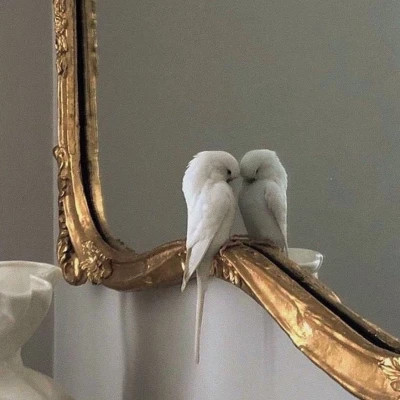 好看又实用的背景图片头像