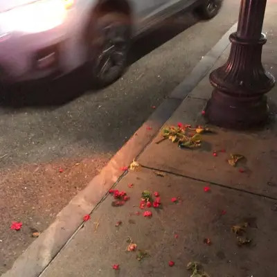 好看又实用的背景图片头像