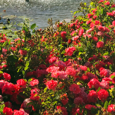 2026最火网红背景图片头像