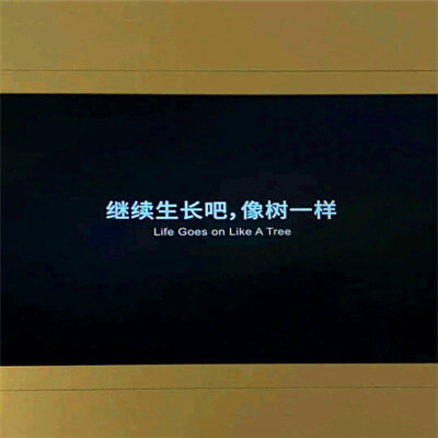 2026最火网红背景图片头像