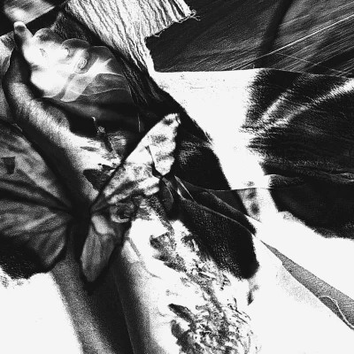 2026最火网红背景图片头像