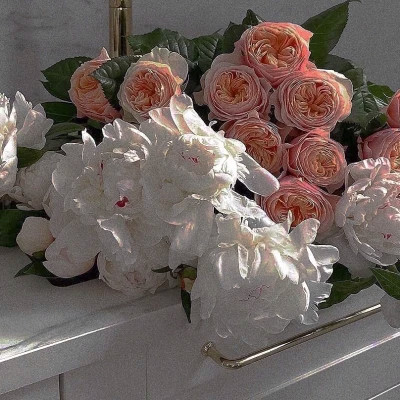 2026最火网红背景图片头像