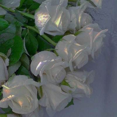 2026最火网红背景图片头像