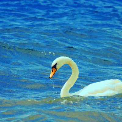 2026最火网红背景图片头像