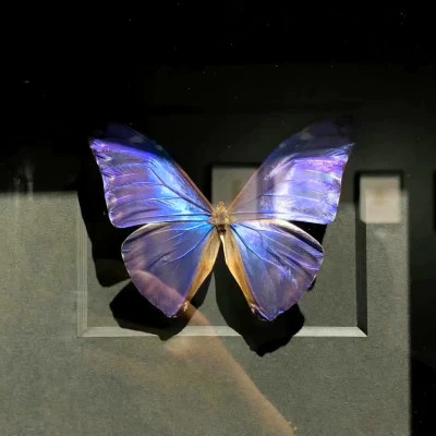 2026最火网红背景图片头像