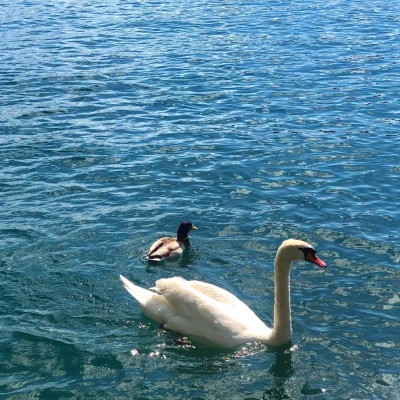 2026最火网红背景图片头像