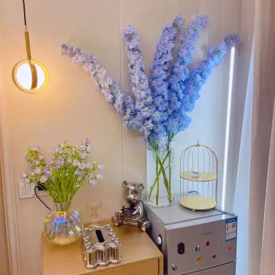 2026最火网红背景图片头像