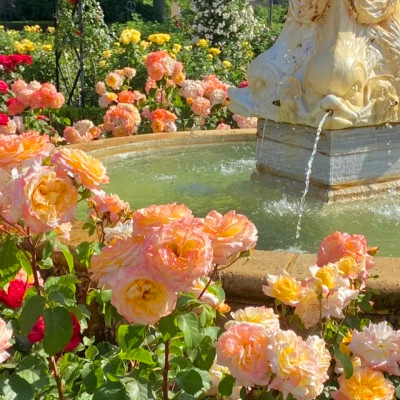 2026最火网红背景图片头像