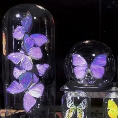 2026最火网红背景图片头像