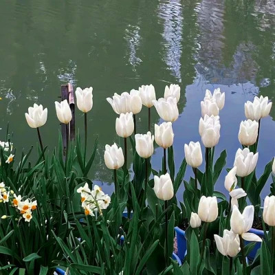 2026最火网红背景图片头像