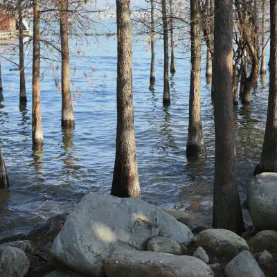 2026最火网红背景图片头像