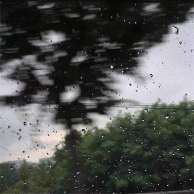 2026最火网红背景图片头像