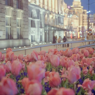 2026最火网红背景图片头像