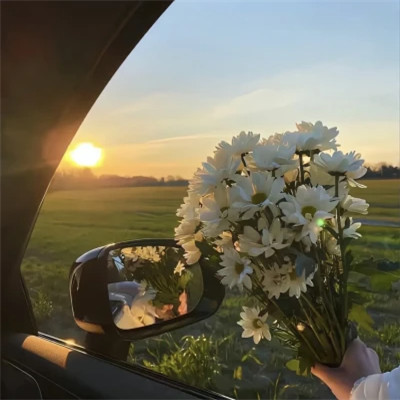 2026图片大全好看背景头像