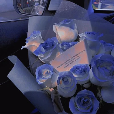 2026图片大全好看背景头像