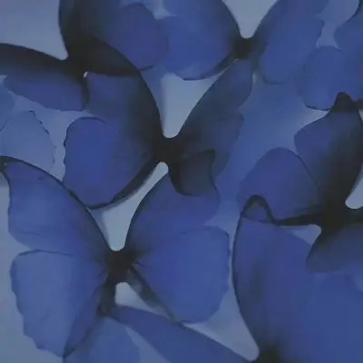 2026图片大全好看背景头像