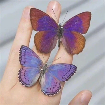 2026图片大全好看背景头像