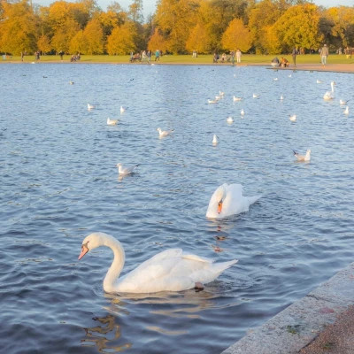 2026图片大全好看背景头像