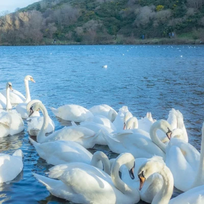 2026图片大全好看背景头像