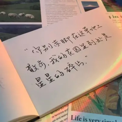 2026图片大全好看背景头像