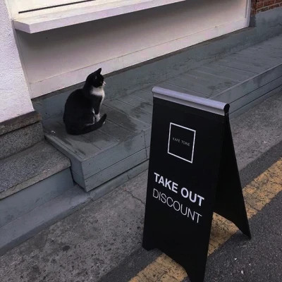 2026图片大全好看背景头像