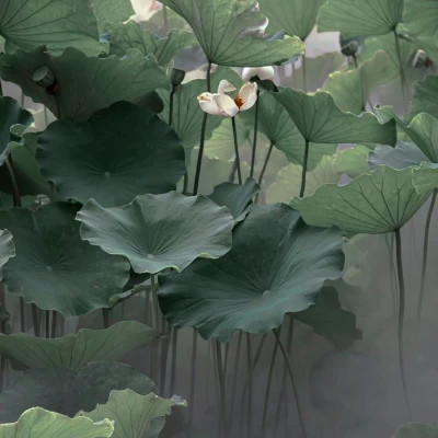 2026图片大全好看背景头像