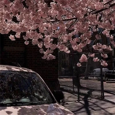 2026图片大全好看背景头像