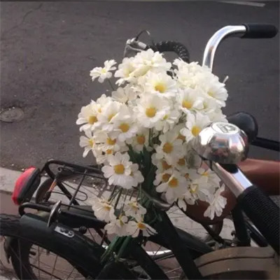 2026图片大全好看背景头像