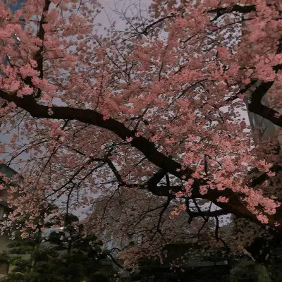 2026图片大全好看背景头像